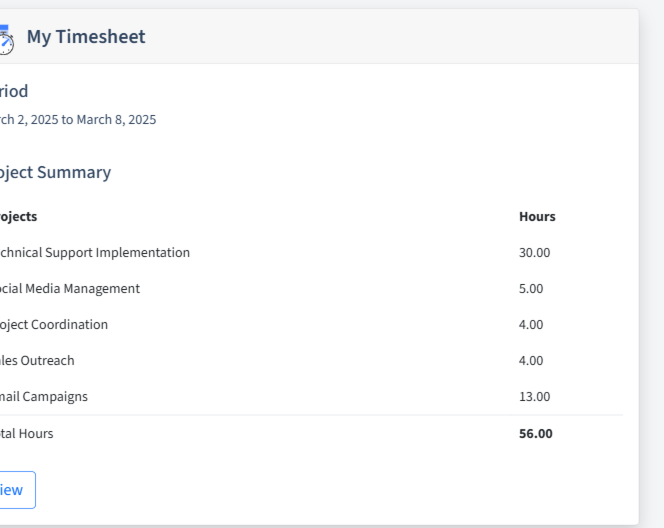 Virtual Assistance Timesheet Dashboard